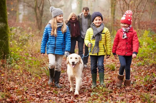 child walking dog with friends