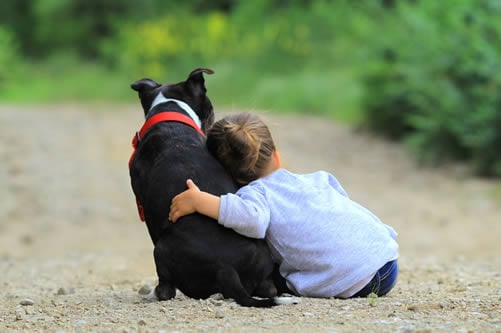 child cuddling pet dog